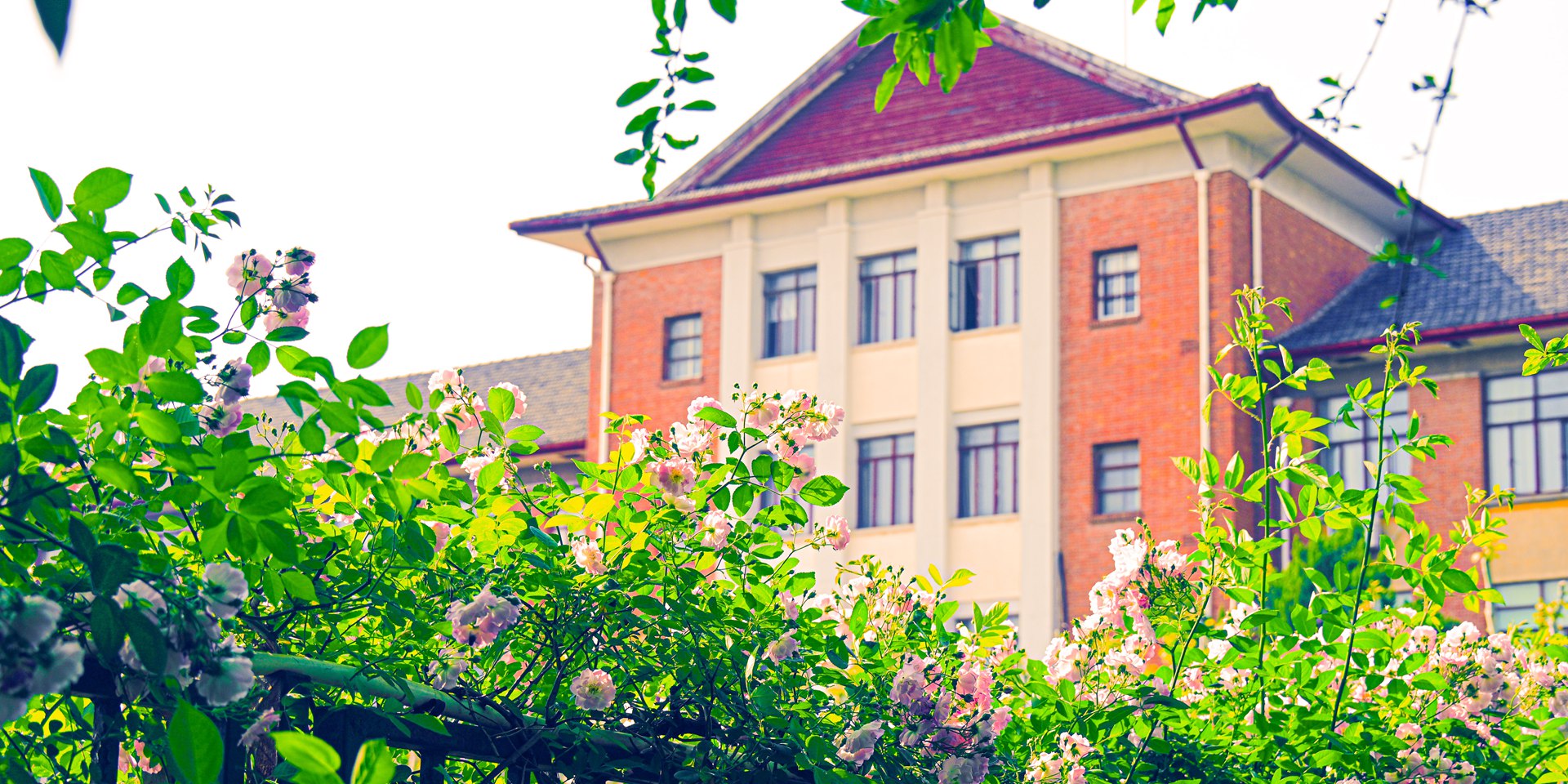 Shanghai Normal University