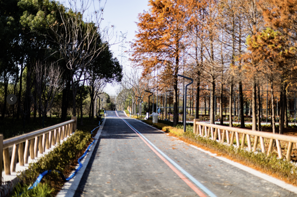 3_副本.png 3_副本.png