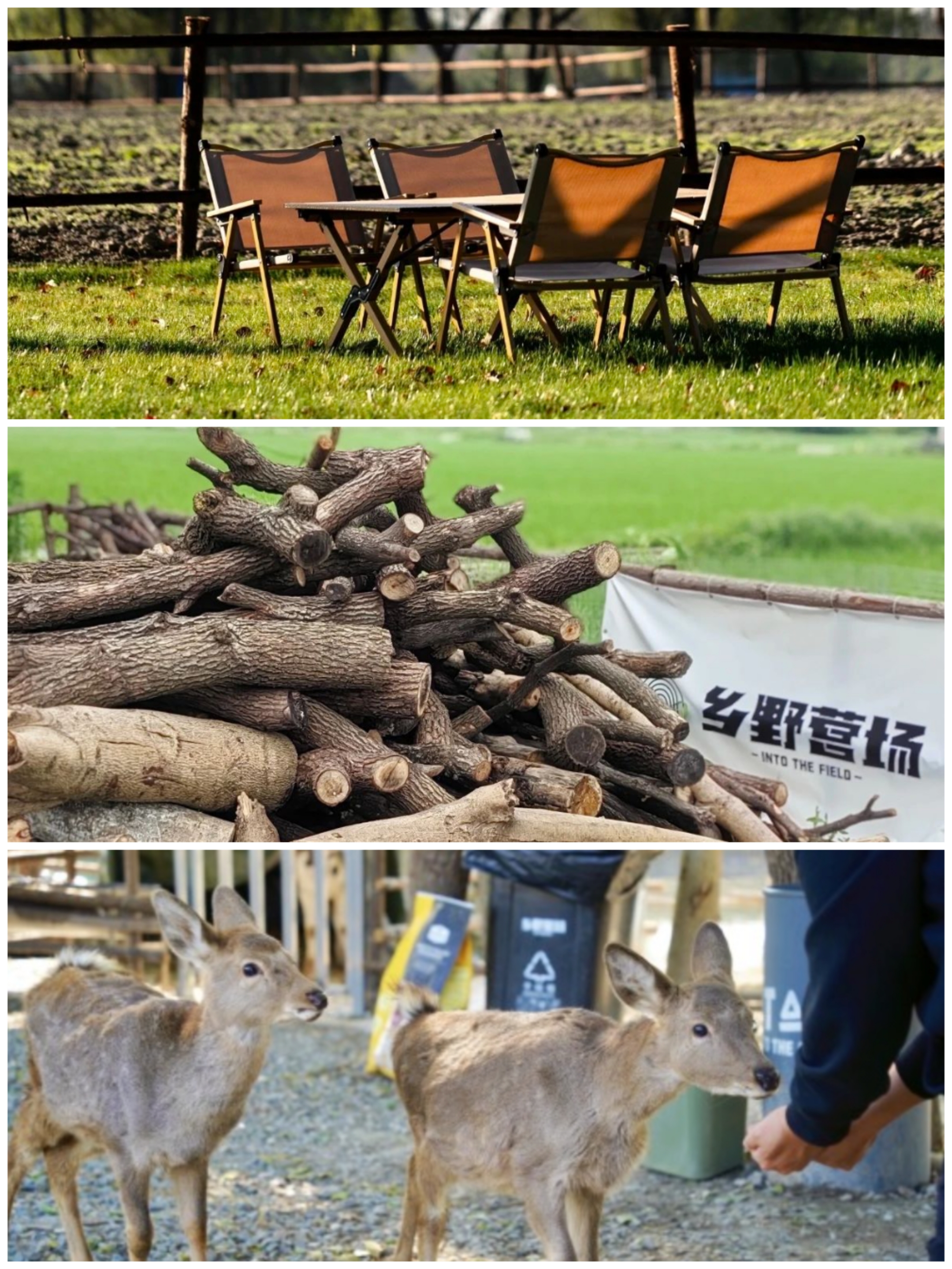 Idol Farm – Into the Field.jpg