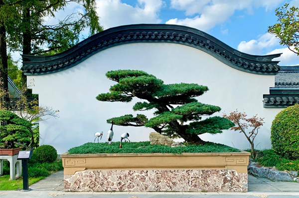 Shanghai ICH | Shanghai-style penjing