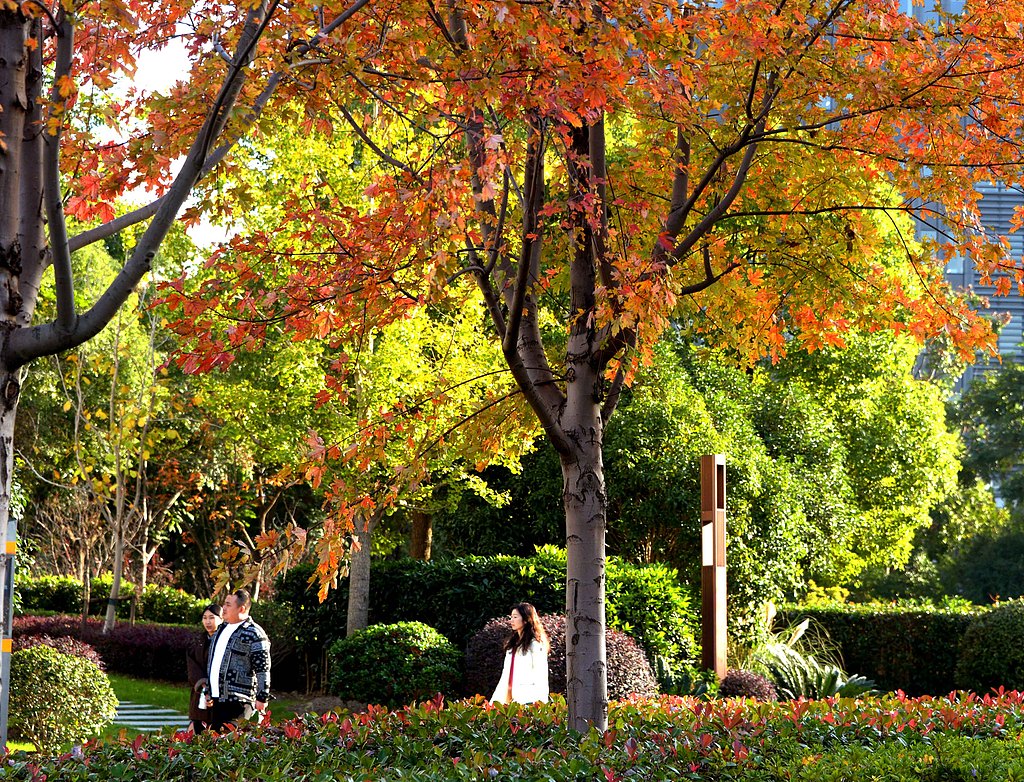 Shanghai continues to enrich ecological environment.jpeg