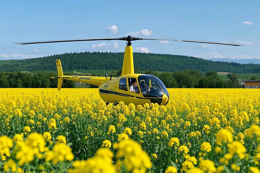 Fengxian offers helicopter rides and spring festivities