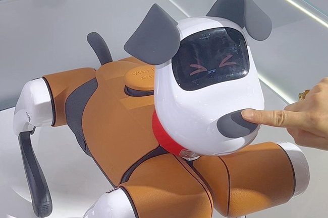 Video: It's a robotic dog's world 