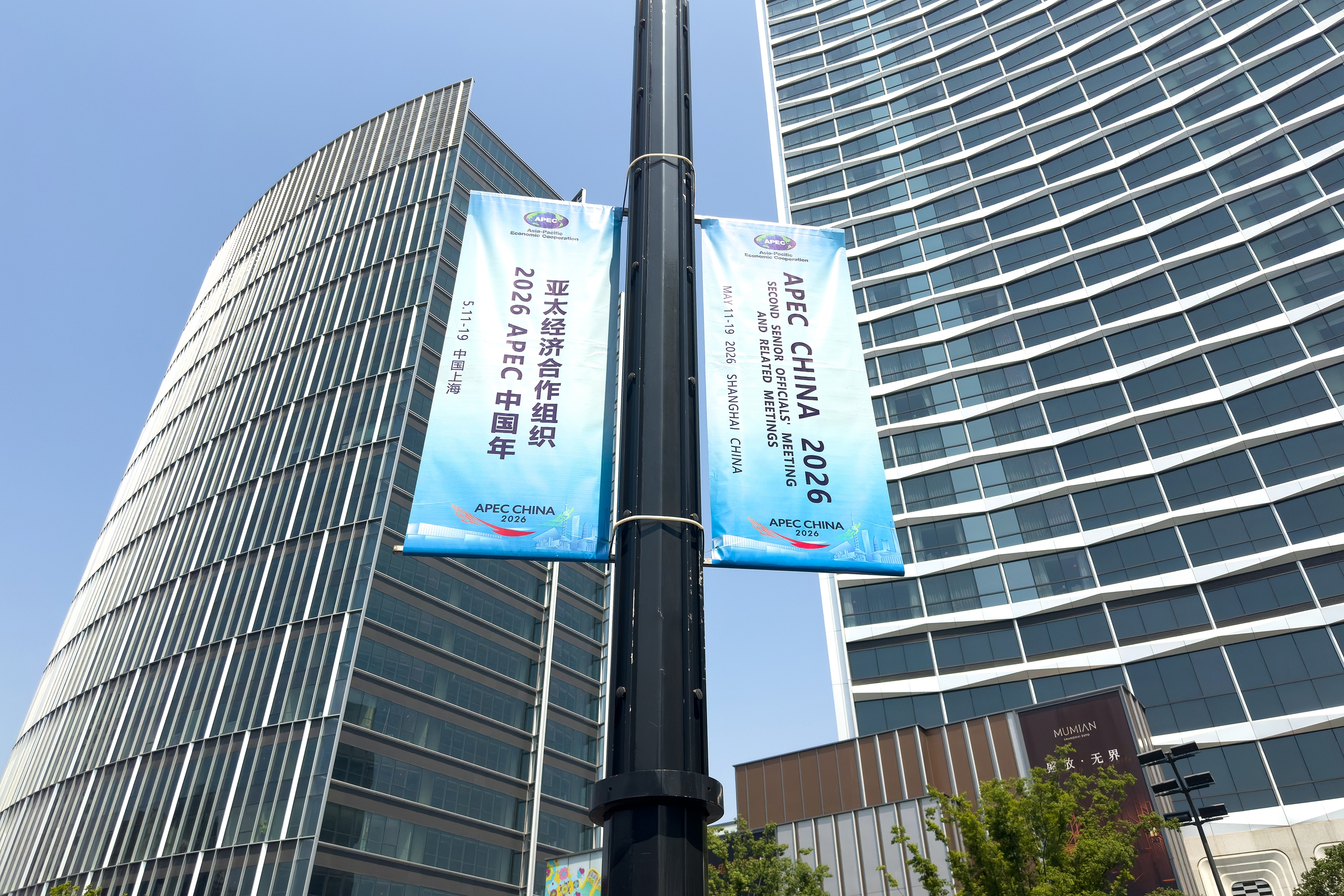 China to host APEC senior officials' meeting in Shanghai