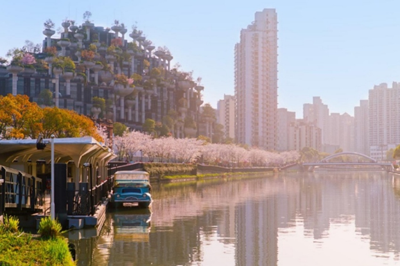 Shanghai's Putuo welcomes spring with blossoming festivals and cultural events