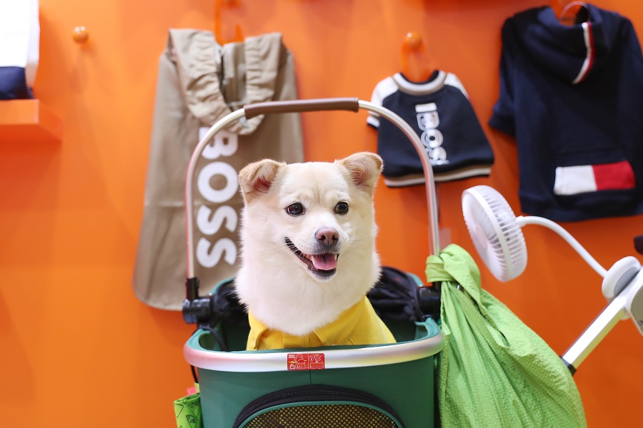 Pet Fair Asia highlights China's booming pet economy in Shanghai