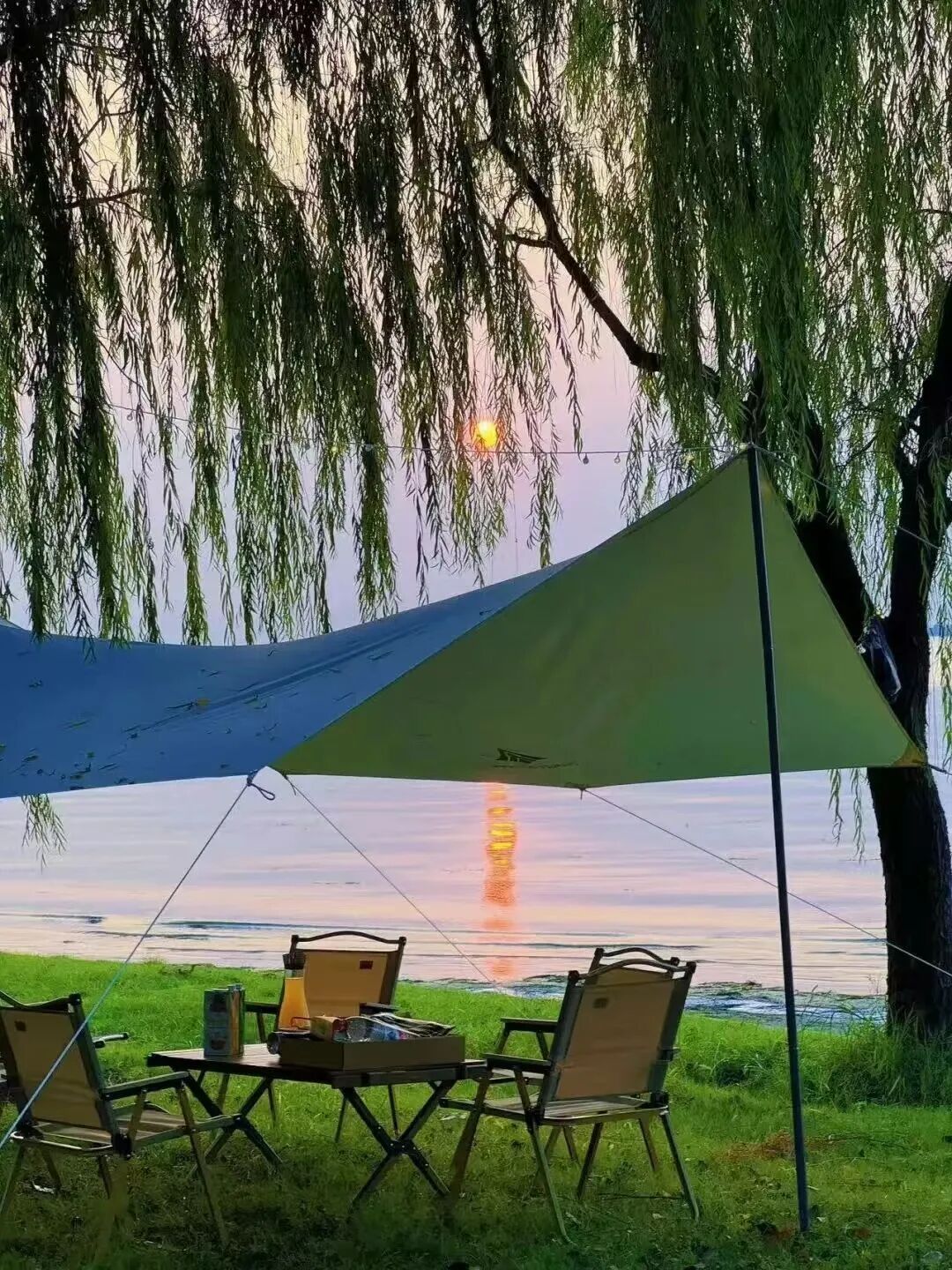 Oriental Land.jpg