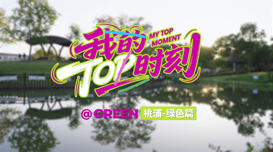 Shanghai through expat eyes: A model of green and sustainable urban development