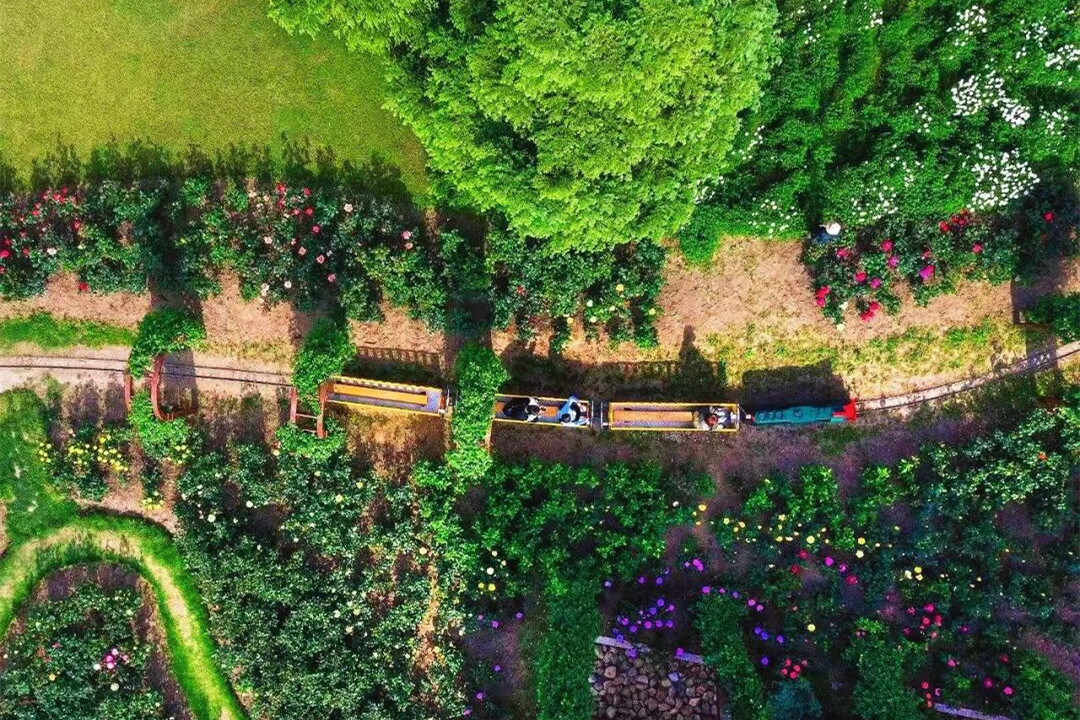 Slow down and enjoy Shanghai's parks by train