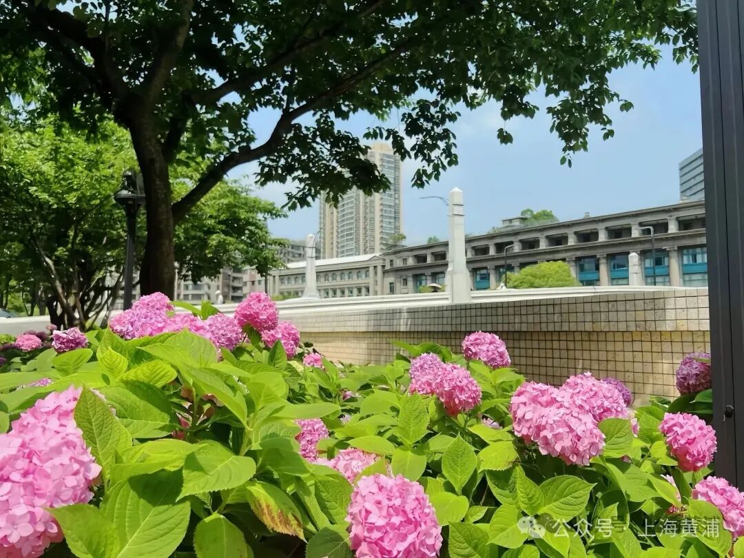 Suzhou Creek waterfront.jpg