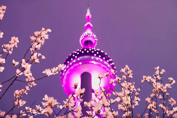 111111111.jpg 111111111.jpg